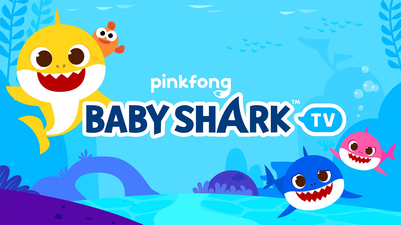 Babyshark